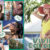 VIVID COLOR
